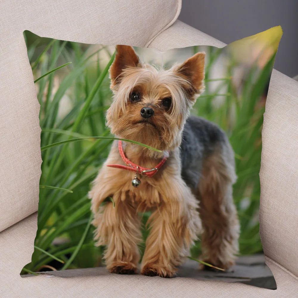 Funda de cojín decorativa con estampado de perro para sofá, hogar, mascota, adorable
