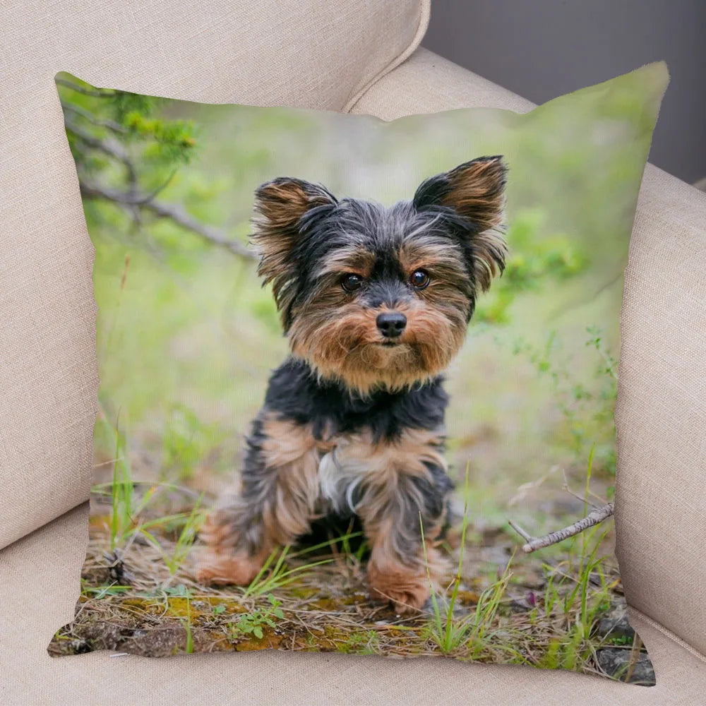 Funda de cojín decorativa con estampado de perro para sofá, hogar, mascota, adorable