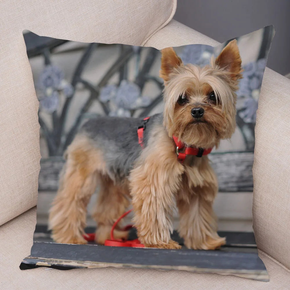 Funda de cojín decorativa con estampado de perro para sofá, hogar, mascota, adorable