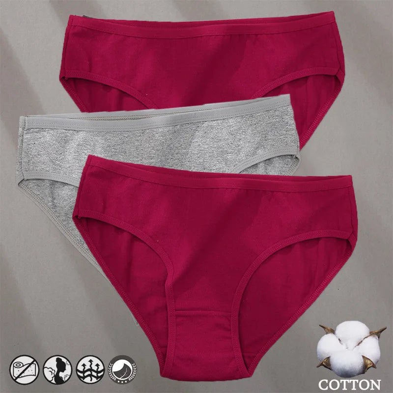 Conjunto de 3 Bragas de algodón con diseño de Jacquard para mujer