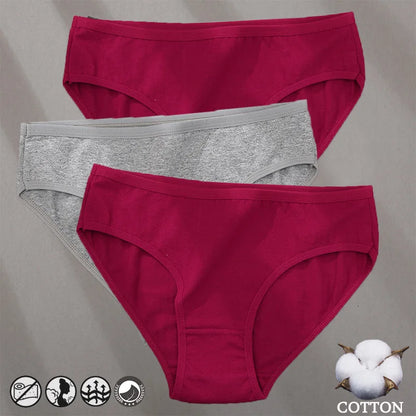 Conjunto de 3 Bragas de algodón con diseño de Jacquard para mujer