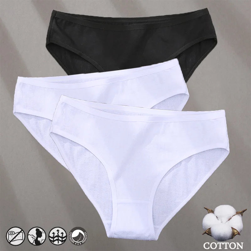 Conjunto de 3 Bragas de algodón con diseño de Jacquard para mujer