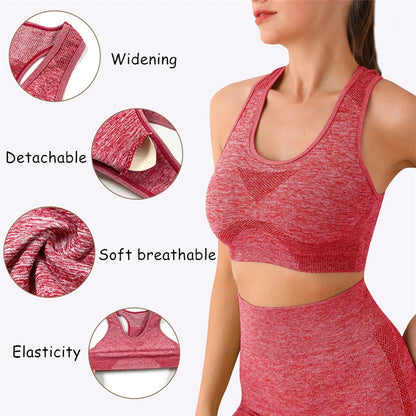 2 Piece Seamless Women Sportswear Set Gym Workout Clothes Long Sleeve Crop Top High Waist Leggings Sports Suits 