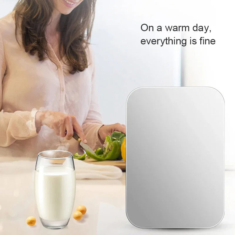 6L Car Refrigerator DC 12V 220V AC Electric Portable Beauty Cooler Warmer Mini Car Fridge Ice Box for Home Camping Travel 