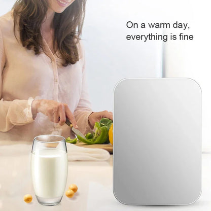 6L Car Refrigerator DC 12V 220V AC Electric Portable Beauty Cooler Warmer Mini Car Fridge Ice Box for Home Camping Travel 
